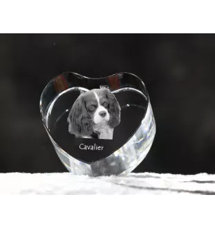 Cavalier King Charles Spaniel - une photo de chien dans un cristal, un cœur en cristal, un cadre photo exceptionnel de la marque Art-Dog