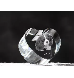 Cavalier King Charles Spaniel - a photo of a dog in crystal, crystal heart, unique photo frame from the Art-Dog brand