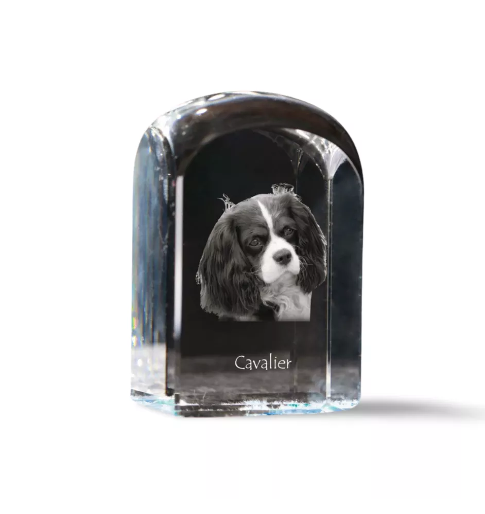 Cavalier King Charles Spaniel - Kristallwürfel mit Bild, Hundebild im Kristall, sechseckiger Papierclip von Art-Dog.