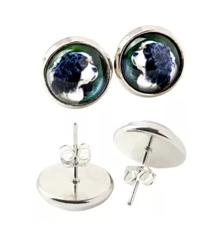 Cavalier King Charles Spaniel - earrings in a box, your photo, handmade jewelry, a product of the Art-Dog brand