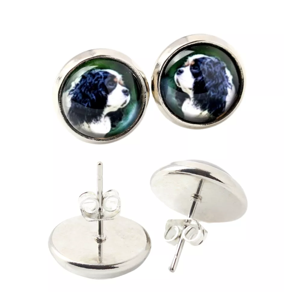 Cavalier King Charles Spaniel - earrings in a box, your photo, handmade jewelry, a product of the Art-Dog brand