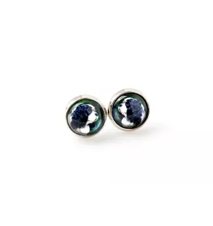 Cavalier King Charles Spaniel - boucles d'oreilles dans une boîte, votre photo, bijoux faits à la main, produit de la marque Art-Dog.