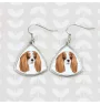 Cavalier King Charles Spaniel - boucles d'oreilles avec une photo et un motif de chien géométrique Art-Dog