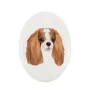 Cavalier King Charles Spaniel - une plaque avec une photo et un motif géométrique de la marque Art-Dog