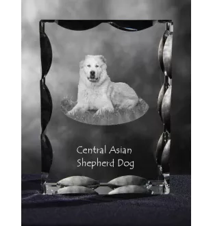 Mittelasiatischer Schäferhund, Zentralasiatischer Owtscharka - Kristall mit einem Hundebild, Glasstatuette mit einem Bild, einzigartiger Bilderrahmen der Marke Art-Dog