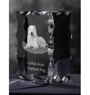 Mittelasiatischer Schäferhund, Zentralasiatischer Owtscharka - Kristall mit einem Hundebild, Glasstatuette mit einem Bild, einzigartiger Bilderrahmen der Marke Art-Dog