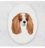 Cavalier King Charles Spaniel - une plaque avec une photo et un motif géométrique de la marque Art-Dog