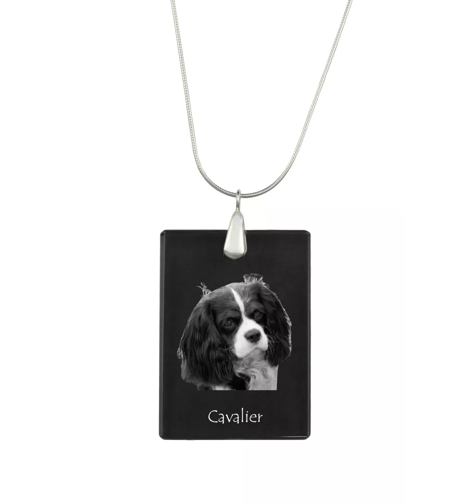 Cavalier King Charles Spaniel - Crystal pendant with dog, silver necklace with photo, personalised pendant by Art-Dog brand