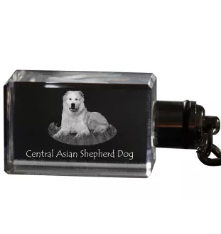 Berger d'Asie Centrale, Sredneasiatskaïa ovtcharka - Porte-clés en cristal avec photo de chien, porte-clés lumineux, cadeau unique de la marque Art-Dog
