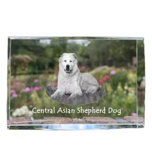 Mittelasiatischer Schäferhund, Zentralasiatischer Owtscharka - Kristall mit einem Hundebild, Bild im Glas, moderne Ausstellung des Art-Dog-Bildes.