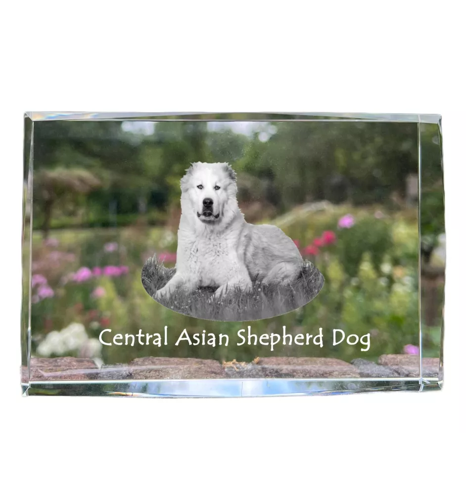 Mittelasiatischer Schäferhund, Zentralasiatischer Owtscharka - Kristall mit einem Hundebild, Bild im Glas, moderne Ausstellung des Art-Dog-Bildes.