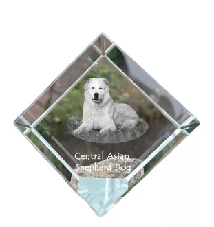 Central Asia Shepherd Dog, Central Asian Shepherd Dog - crystal cube with a photo, photo of a horse in crystal, cubic paperweight from Art-Dog brand