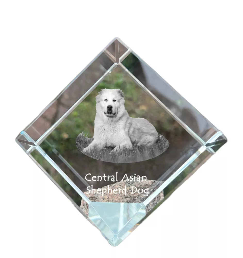 Berger d'Asie Centrale, Sredneasiatskaïa ovtcharka - un cube de cristal avec une photo, une photo de cheval dans le cristal, un presse-papiers cubique de la marque Art-Dog