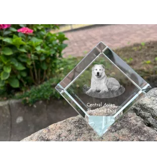 Central Asia Shepherd Dog, Central Asian Shepherd Dog - crystal cube with a photo, photo of a horse in crystal, cubic paperweight from Art-Dog brand