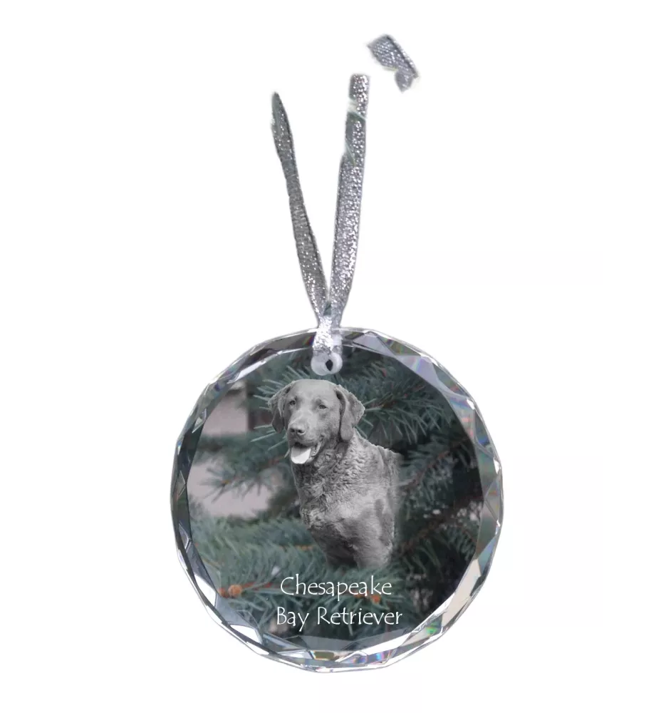 Retriever de la baie de Chesapeake - boule de Noël en cristal avec une photo, photo de chien dans le cristal, décoration personnalisée pour sapin de Noël de la marque Art-Dog