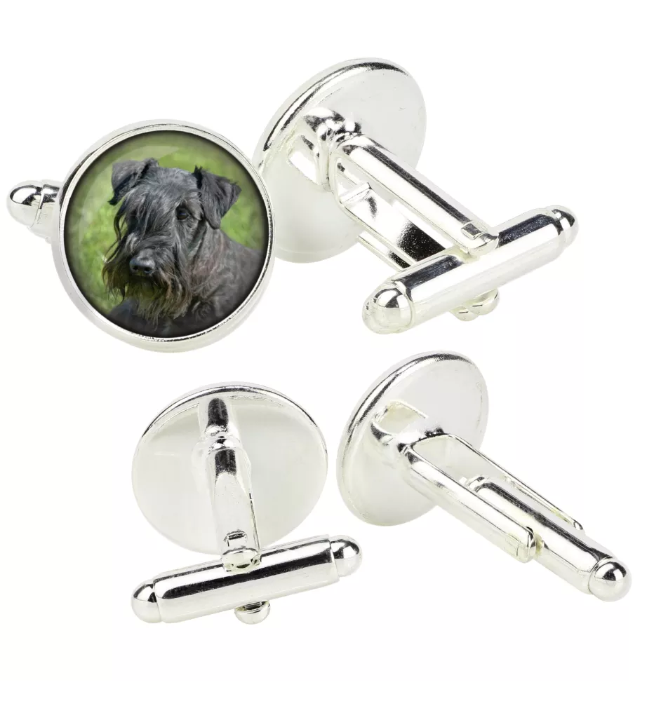 Terrier Tchèque, Cesky Terrier - Boutons de manchette dans une boîte, bijoux faits à la main, produit de la marque Art-Dog