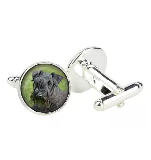 Terrier Tchèque, Cesky Terrier - Boutons de manchette dans une boîte, bijoux faits à la main, produit de la marque Art-Dog