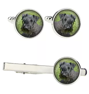 Tschechischer Terrier,   Böhmischer Terrier, Český Teriér Ärmelknöpfe und Krawatte mit Ihrem Foto, Anzugaccessoire, Herrenschmuck der Marke Art-Dog