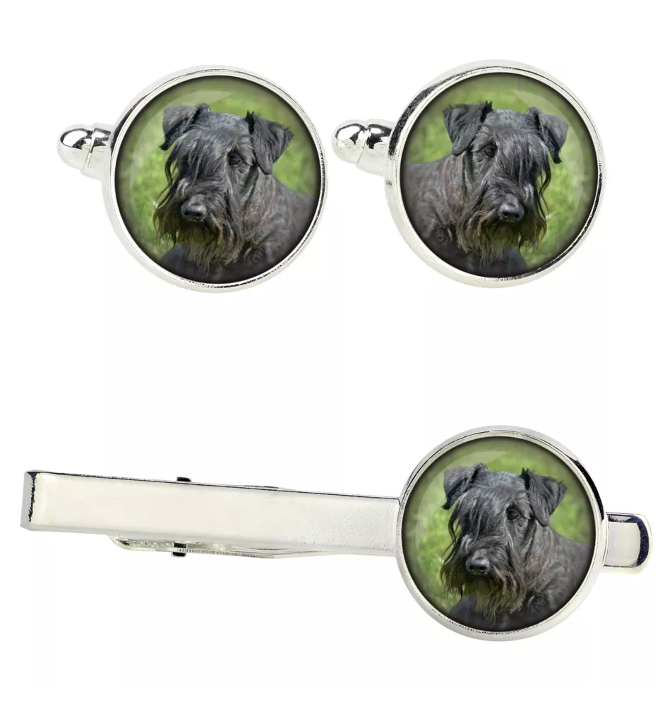 Tschechischer Terrier,   Böhmischer Terrier, Český Teriér Ärmelknöpfe und Krawatte mit Ihrem Foto, Anzugaccessoire, Herrenschmuck der Marke Art-Dog