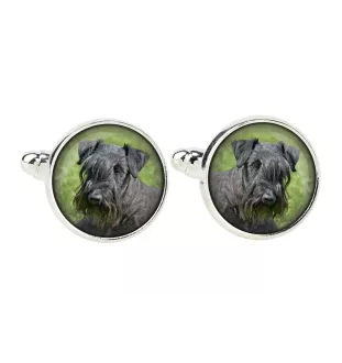 Terrier Tchèque, Cesky Terrier - Boutons de manchette et cravate avec votre photo, accessoire de costume, bijoux pour hommes de la marque Art-Dog.