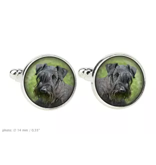 Cesky Terrier, Czech Terrier, Bohemian Terrier - cufflinks and tie with your photo, a suit decoration, men's jewelry from the Art-Dog brand.