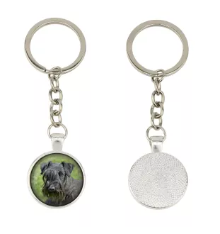 Cesky Terrier, Czech Terrier, Bohemian Terrier - keychain in a box, own photo, keychain pendant from Art-Dog brand