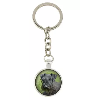 Cesky Terrier, Czech Terrier, Bohemian Terrier - keychain in a box, own photo, keychain pendant from Art-Dog brand