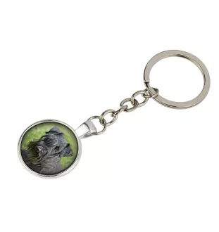 Tschechischer Terrier,   Böhmischer Terrier, Český Teriér - Schlüsselanhänger in einer Box, eigenes Foto, Schlüsselanhänger der Marke Art-Dog