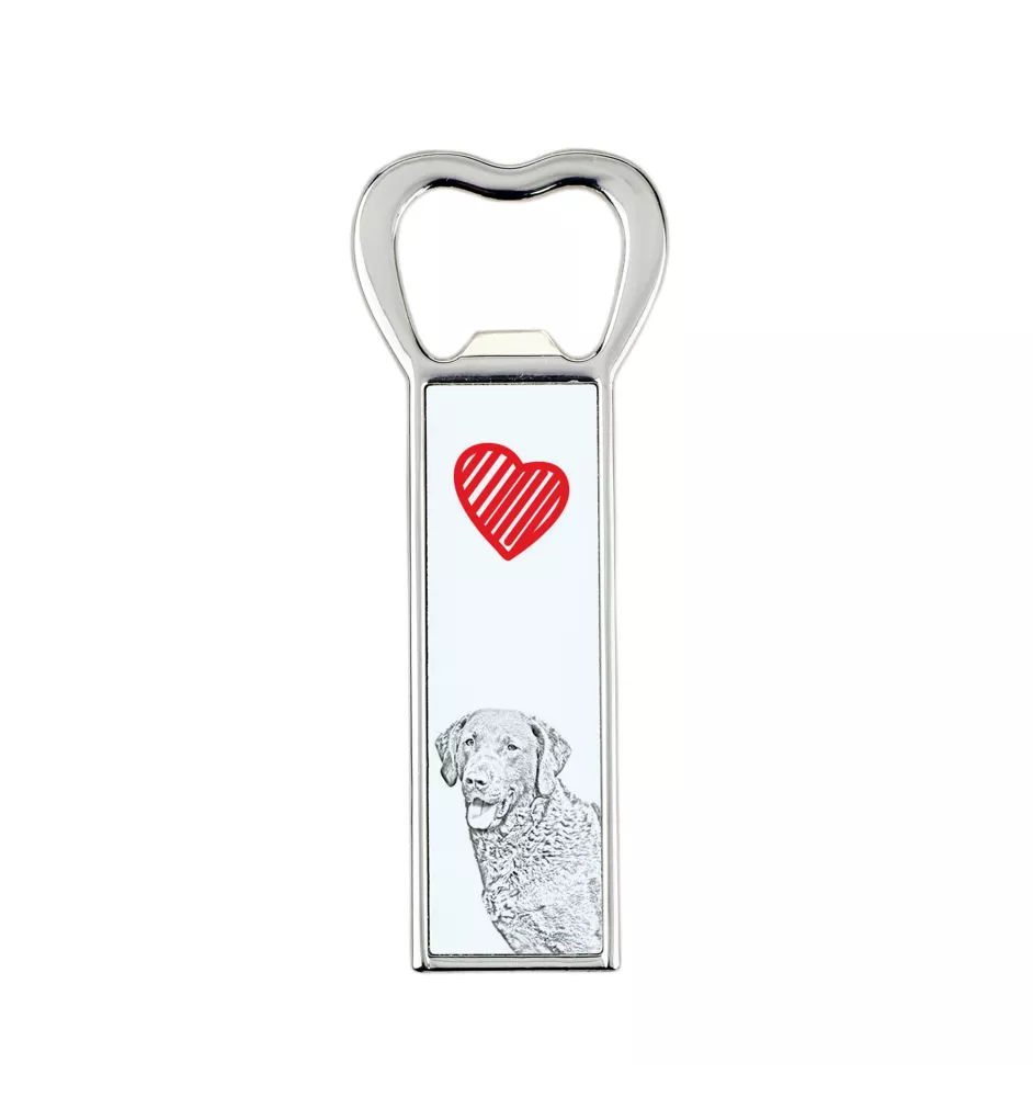 Chesapeake Bay Retriever, Chessie - bottle opener with a dog, personalized fridge opener, unique gift for a man by Art-Dog brand