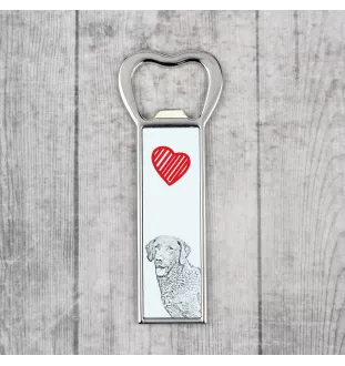 Chesapeake Bay Retriever, Chessie - bottle opener with a dog, personalized fridge opener, unique gift for a man by Art-Dog brand