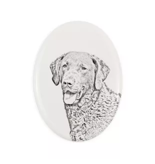 Chesapeake Bay Retriever, Chessie - commemorative plaque with a photo of a dog, tombstone with a print, personalized oval plaque from the Art-Dog brand