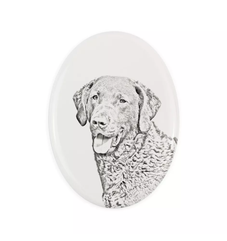 Chesapeake Bay Retriever, Chessie - commemorative plaque with a photo of a dog, tombstone with a print, personalized oval plaque from the Art-Dog brand