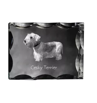 Terrier Tchèque, Cesky Terrier - cristal avec photo de chien, statuette en verre avec photo, cadre exceptionnel avec photo de la marque Art-Dog