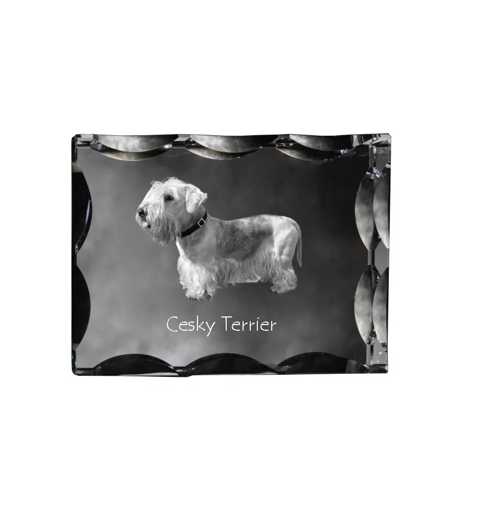 Tschechischer Terrier,   Böhmischer Terrier, Český Teriér - Kristall mit einem Hundebild, Glasstatuette mit einem Bild, einzigartiger Bilderrahmen der Marke Art-Dog