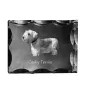 Terrier Tchèque, Cesky Terrier - cristal avec photo de chien, statuette en verre avec photo, cadre exceptionnel avec photo de la marque Art-Dog