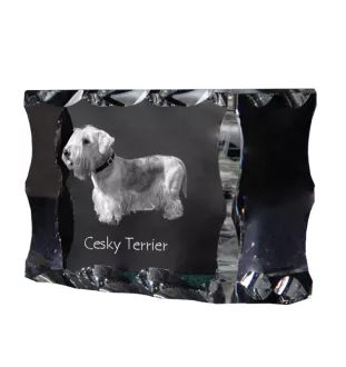 Terrier Tchèque, Cesky Terrier - cristal avec photo de chien, statuette en verre avec photo, cadre exceptionnel avec photo de la marque Art-Dog