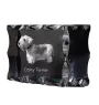 Terrier Tchèque, Cesky Terrier - cristal avec photo de chien, statuette en verre avec photo, cadre exceptionnel avec photo de la marque Art-Dog