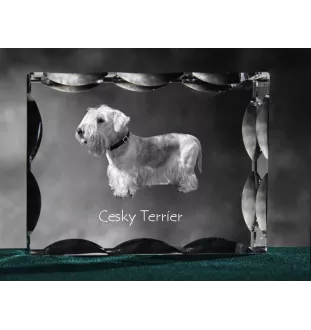 Terrier Tchèque, Cesky Terrier - cristal avec photo de chien, statuette en verre avec photo, cadre exceptionnel avec photo de la marque Art-Dog