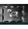 Tschechischer Terrier,   Böhmischer Terrier, Český Teriér - Kristall mit einem Hundebild, Glasstatuette mit einem Bild, einzigartiger Bilderrahmen der Marke Art-Dog