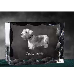 Tschechischer Terrier,   Böhmischer Terrier, Český Teriér - Kristall mit einem Hundebild, Glasstatuette mit einem Bild, einzigartiger Bilderrahmen der Marke Art-Dog