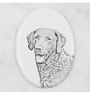 Chesapeake Bay Retriever, Chessie - commemorative plaque with a photo of a dog, tombstone with a print, personalized oval plaque from the Art-Dog brand