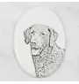 Chesapeake Bay Retriever, Chessie - commemorative plaque with a photo of a dog, tombstone with a print, personalized oval plaque from the Art-Dog brand