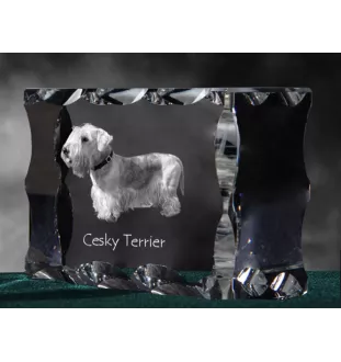 Terrier Tchèque, Cesky Terrier - cristal avec photo de chien, statuette en verre avec photo, cadre exceptionnel avec photo de la marque Art-Dog