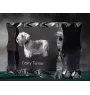 Tschechischer Terrier,   Böhmischer Terrier, Český Teriér - Kristall mit einem Hundebild, Glasstatuette mit einem Bild, einzigartiger Bilderrahmen der Marke Art-Dog