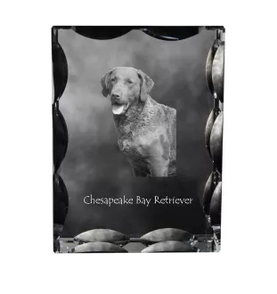Chesapeake Bay Retriever, Chessie - crystal with a picture of a dog, glass statuette with a picture, unique frame with a picture from Art-Dog brand