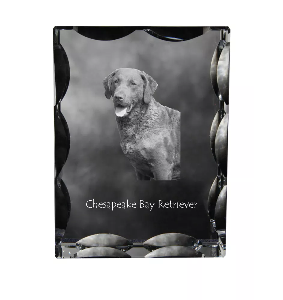 Retriever de la baie de Chesapeake - cristal avec photo de chien, statuette en verre avec photo, cadre exceptionnel avec photo de la marque Art-Dog