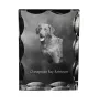 Retriever de la baie de Chesapeake - cristal avec photo de chien, statuette en verre avec photo, cadre exceptionnel avec photo de la marque Art-Dog