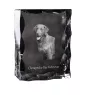 Chesapeake Bay Retriever - Kristall mit einem Hundebild, Glasstatuette mit einem Bild, einzigartiger Bilderrahmen der Marke Art-Dog