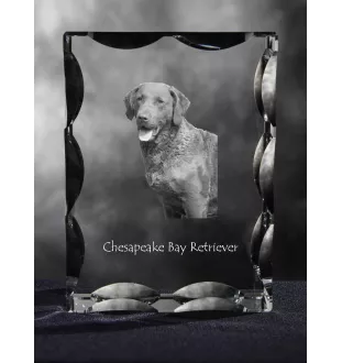 Chesapeake Bay Retriever - Kristall mit einem Hundebild, Glasstatuette mit einem Bild, einzigartiger Bilderrahmen der Marke Art-Dog