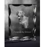 Retriever de la baie de Chesapeake - cristal avec photo de chien, statuette en verre avec photo, cadre exceptionnel avec photo de la marque Art-Dog